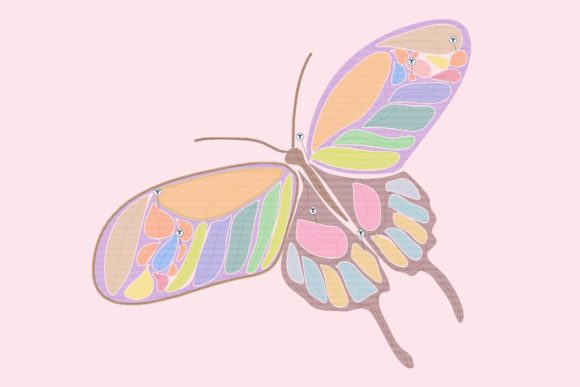 Colorful November Butterfly: A Designerβs Review