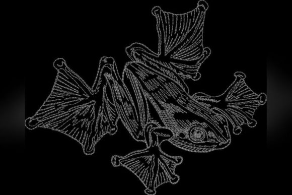Frog One Line: A Minimalist Holiday Embroidery Review